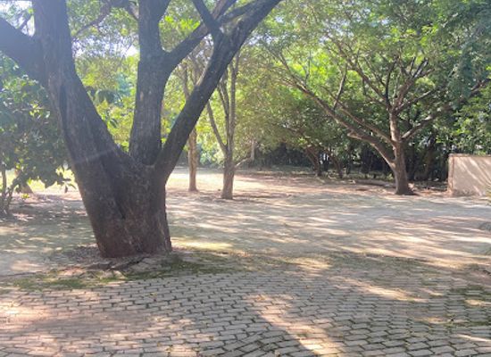 ghana/greater-accra-region/attraction/rufus-green-parks
