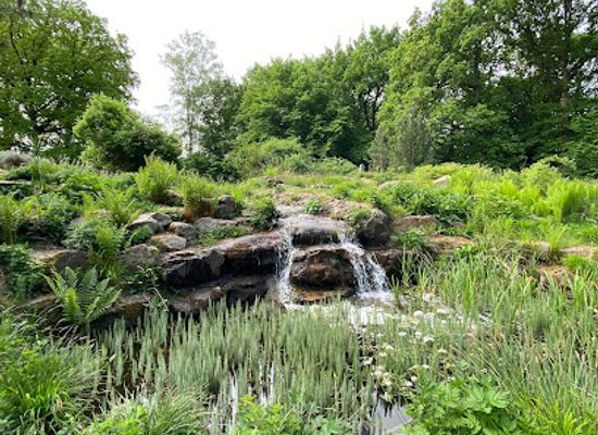 netherlands/nijmegen/attraction/foundation-hortus-nijmegen
