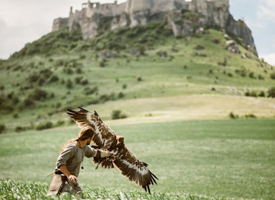 slovakia/orava/attraction/sokoliari-oravsky-podzamok