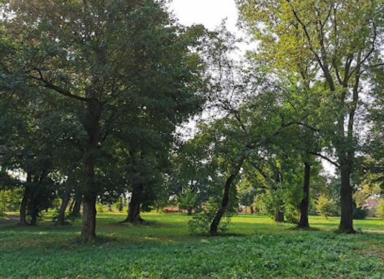slovakia/zemplinska-sirava/attraction/park-kerta