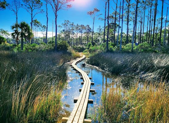 florida/st-george-island/attraction/apalachicola-bay-national-estuarine-research-reserve