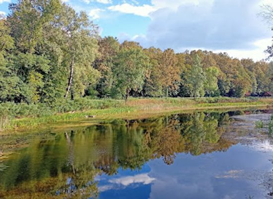 croatia/baranja/attraction/otocki-virovi-bioekolosko-edukacijski-centar