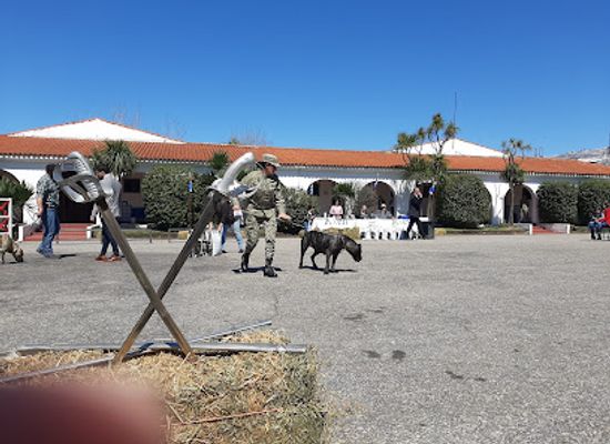 uruguay/piedras-blancas/attraction/artigas-blandengues-museum