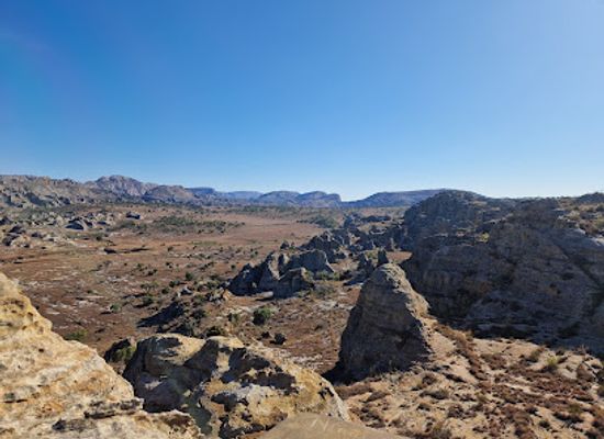 madagascar/melaky/attraction/ankafobe-reserve