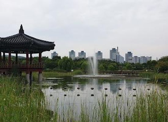 south-korea/daejeon/attraction/hanbat-arboretum