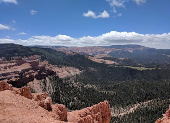 utah/dixie-national-forest/attraction/twisted-forest-trailhead