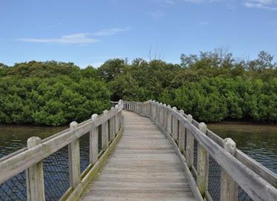 florida/sun-coast/attraction/ken-thompson-park