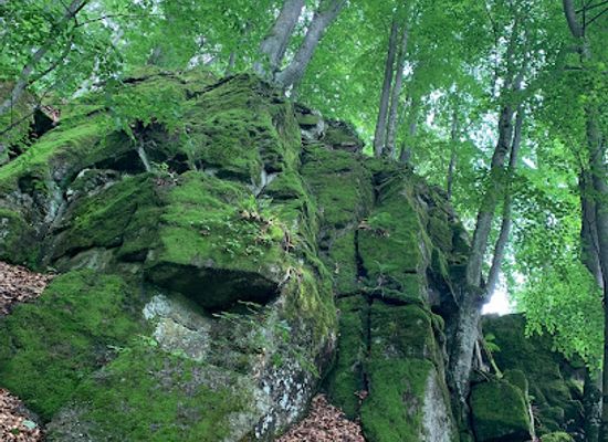 ukraine/transcarpathia/attraction/raytiv-kamin
