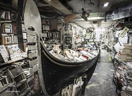 italy/venice/attraction/libreria-acqua-alta