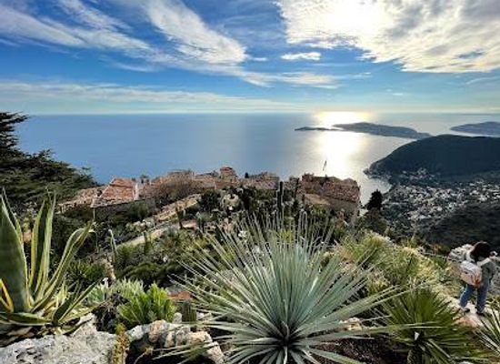 monaco/monaco-ville/attraction/le-jardin-exotique