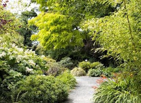 washington/bellevue/attraction/bellevue-botanical-garden