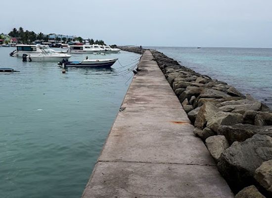 maldives/raa-atoll/attraction/sting-ray-point