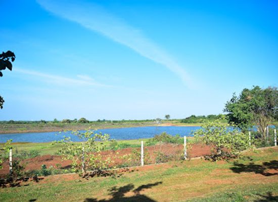 sri-lanka/hambantota-district/attraction/birds-park-birds-research-center-hambantota