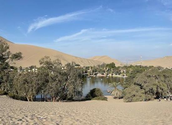 peru/ica/attraction/oasis-de-la-huachachina