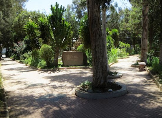 eritrea/zoba-gash-barka/attraction/hawakil-park