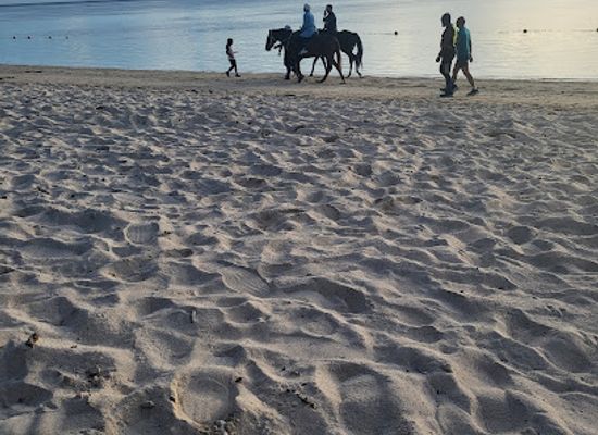 mauritius/flic-en-flac/attraction/plage