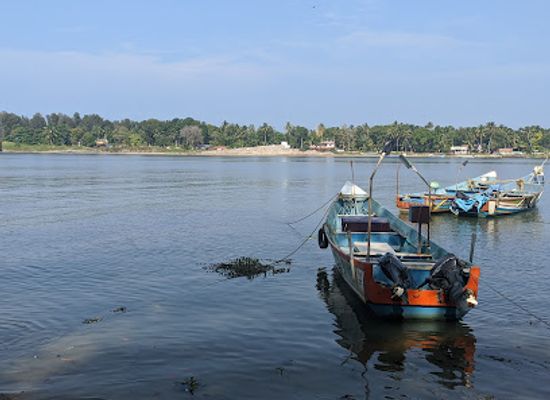 india/kerala-backwaters/attraction/thottappally-backwaters
