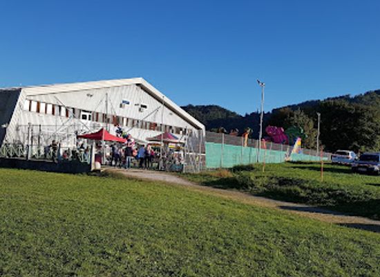 slovenia/velenje/attraction/pika-festival