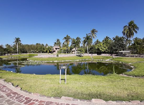 mexico/mazatlan/attraction/amaitlan-botanical-garden