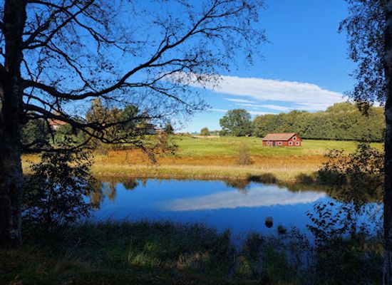 sweden/dalarna/attraction/frostbrunnsdalens-naturreservat