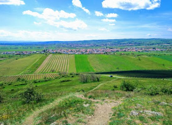 austria/neusiedler-see/attraction/hackelsberg