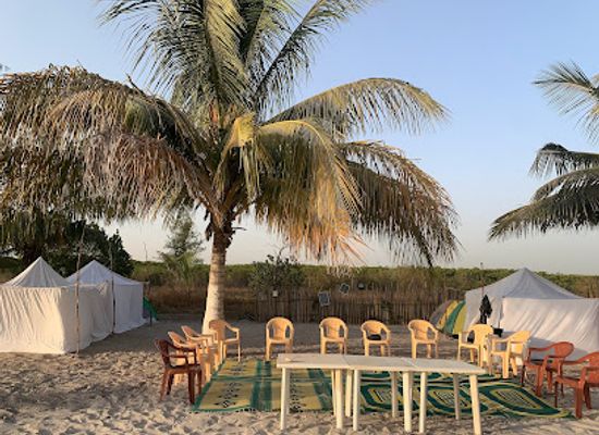 senegal/joal-fadiouth/attraction/baobab