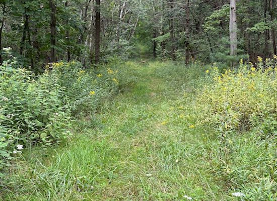 connecticut/the-quiet-corner/attraction/above-all-state-park