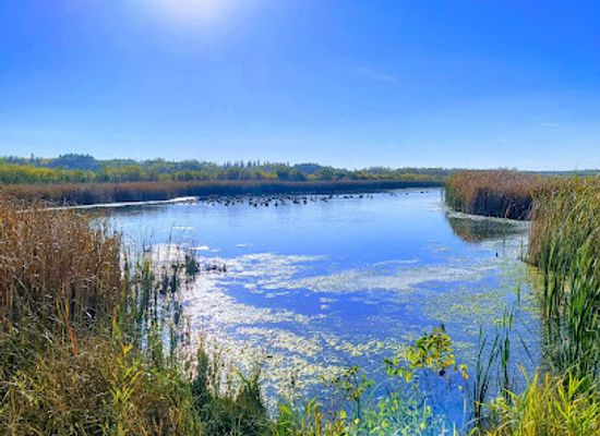 canada/pembina-valley/attraction/birds-hill-provincial-park