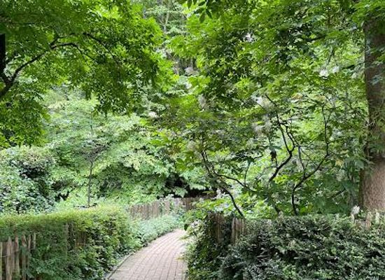 belgium/mons/attraction/tenbosch-park