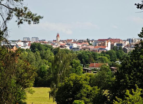 czechia/west-bohemia/attraction/plzen-zoo