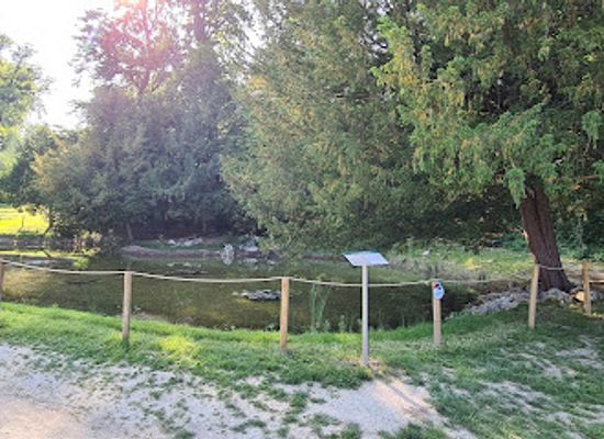 austria/eisenstadt/attraction/herzerlteich