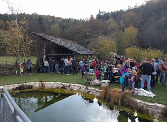 austria/waldviertel/attraction/freilichtmuseum-germanisches-gehoft-elsarn