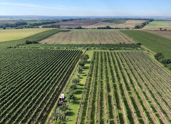 czechia/south-moravia/attraction/lookout-na-podluzi-u-noveho-poddvorova