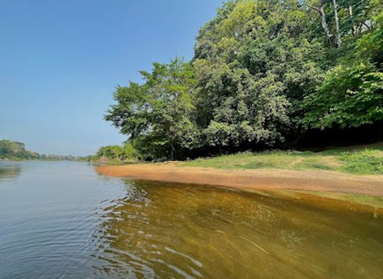 india/kerala/attraction/mahaghony-thottam