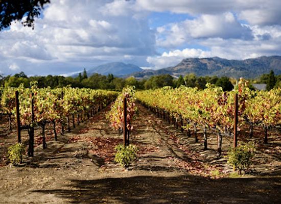 california/napa-valley/attraction/welcome-to-napa-valley-sign-south