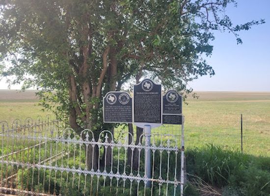 texas/panhandle/attraction/first-tree-of-the-texas-panhandle
