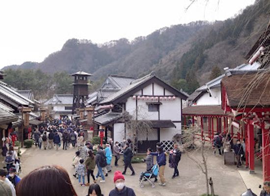 japan/nikko/attraction/Ninja-Strange-Teahouse