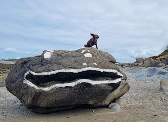 guernsey/jerbourg-point/attraction/frog-rock