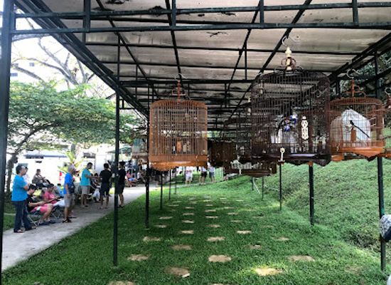 singapore/serangoon/attraction/kebun-baru-birdsinging-club
