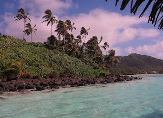 cook-islands/rarotonga/attraction/takitumu-conservation-area