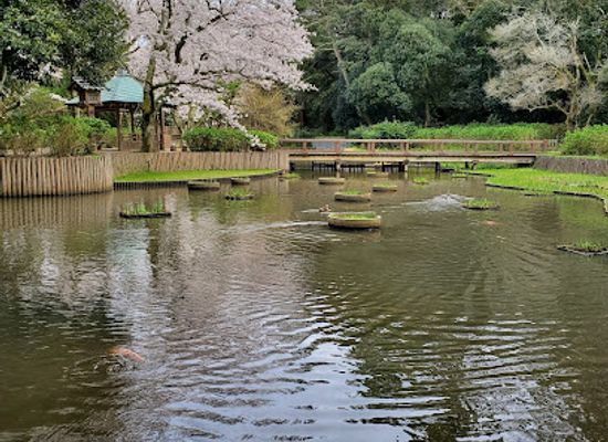 japan/izumo/attraction/pond-of-purity