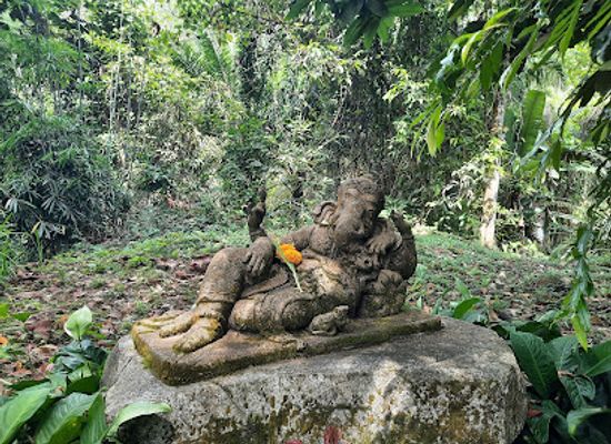 thailand/similan-islands/attraction/phang-nga-elephant-park