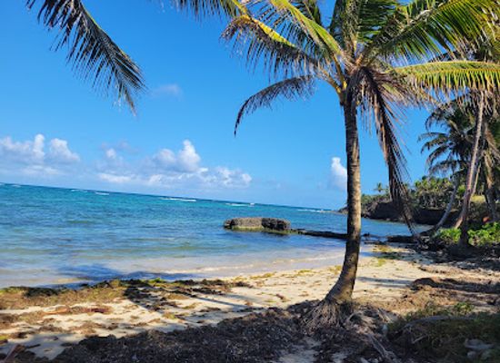 nicaragua/pearl-cays/attraction/cocal-beach