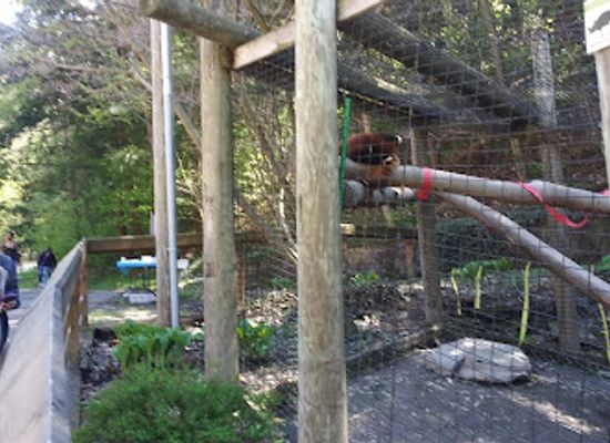 new-york/southern-tier/attraction/ross-park-zoo
