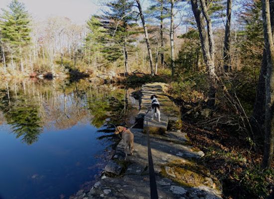 connecticut/litchfield-hills/attraction/white-memorial-mattatuck-trail