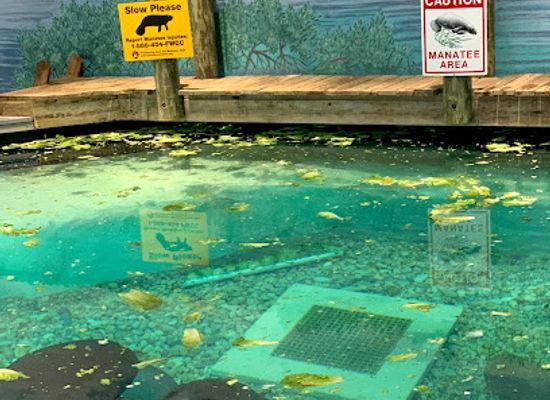 florida/southwest-florida/attraction/the-bishop-museum-of-science-and-nature