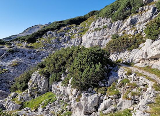 austria/dachstein-mountains/attraction/berghohle-am-krippenstein