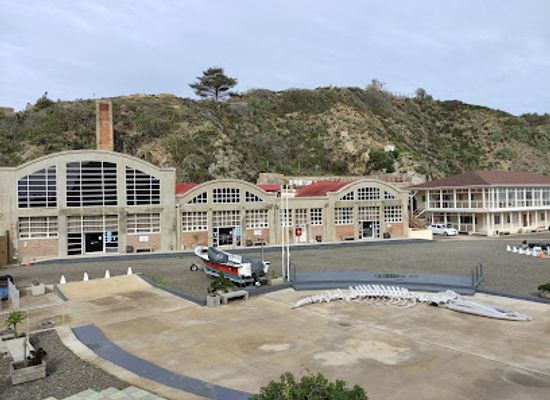 chile/valparaiso-region/attraction/ex-ballenera