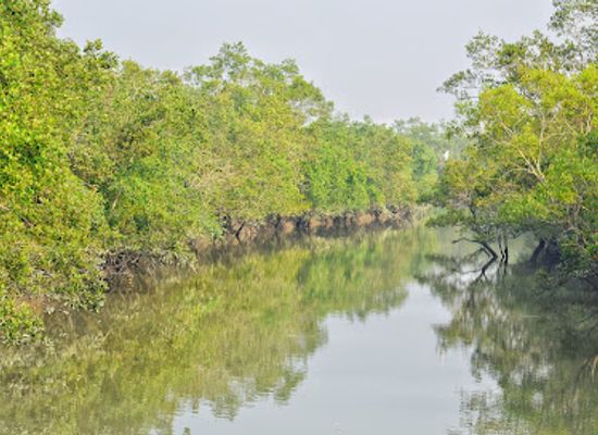 india/sundarbans/attraction/dobanki-camp