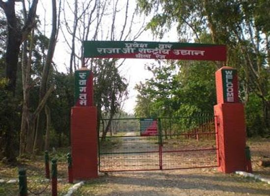 india/rishikesh/attraction/rajaji-national-park